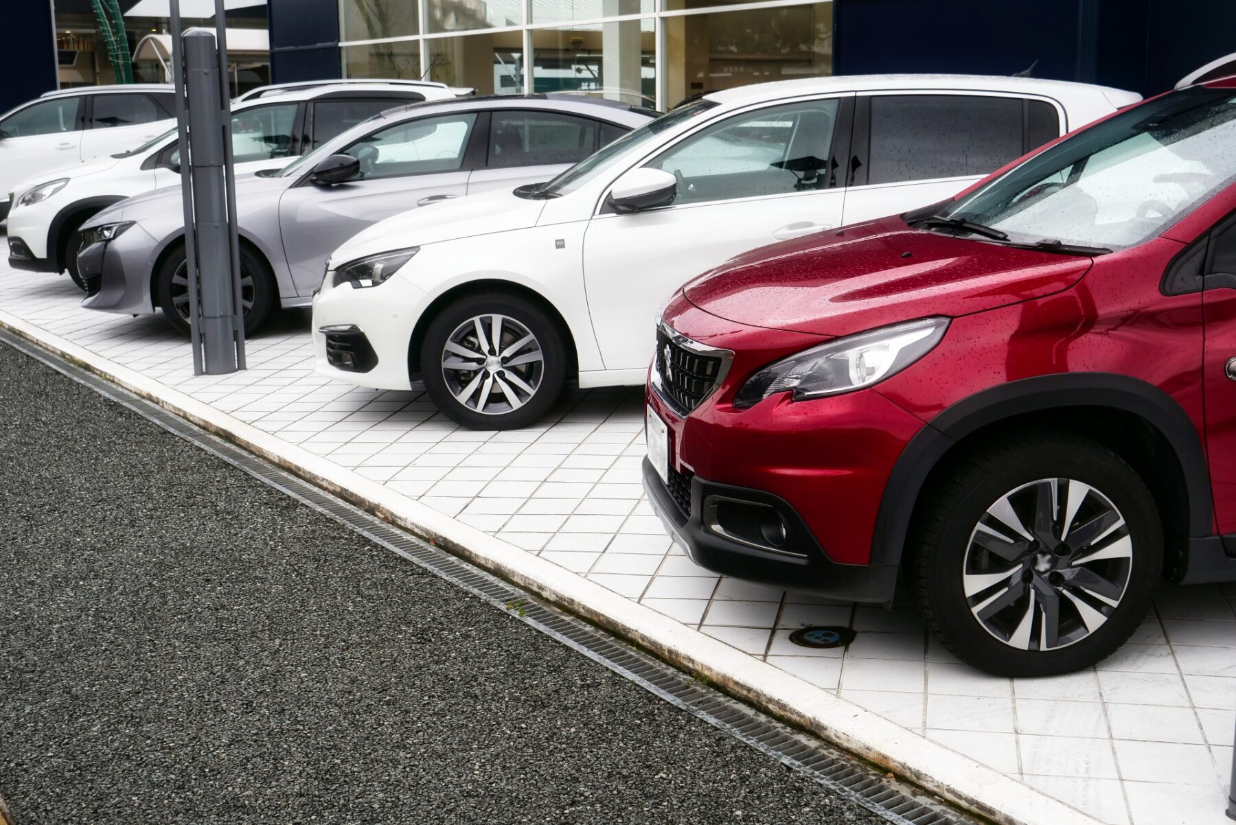 ディーラーに展示された新車